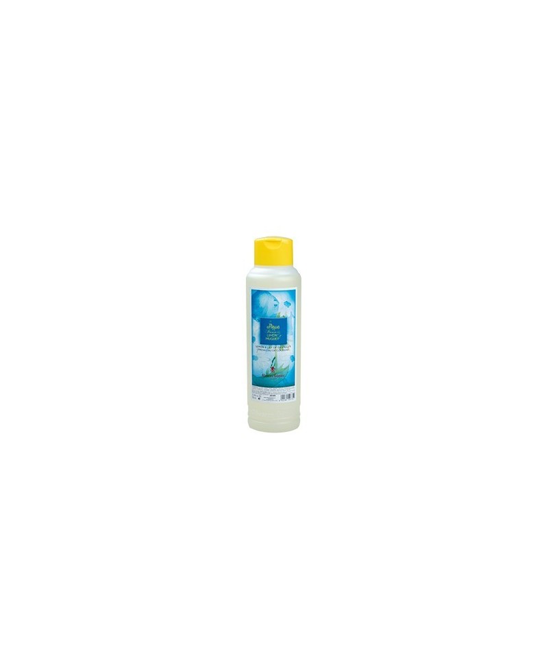 AGUA FRESCA DE BAÑO ALVAREZ GOMEZ LIMON 750 ML